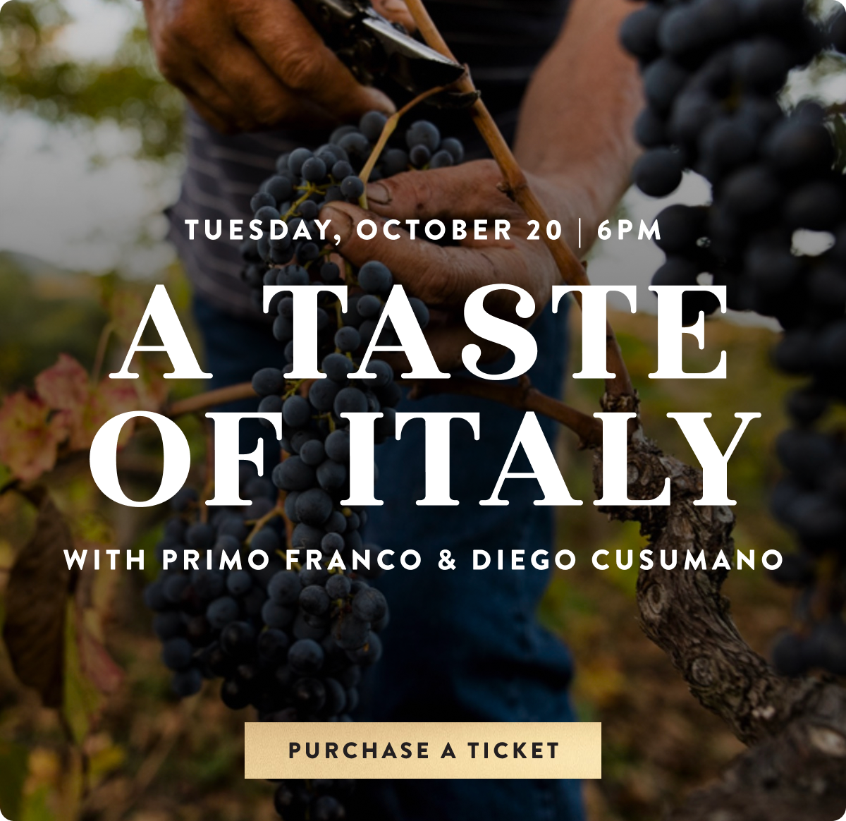 Taste of Italy Wine Dinner